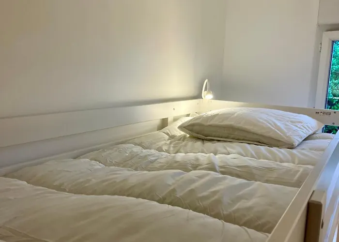 Cano 8 Personnes A 250m De L'ocean